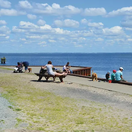 Pet Friendly In Ringkobing With Wifi Holiday home Norre Lyngvig